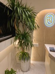 -芮娜皮肤管理·SPA中心