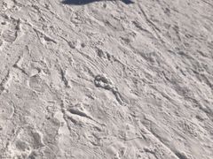 -荣盛康旅野三坡滑雪场