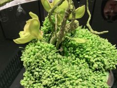 -楚禾宴·家宴(光谷大道店)