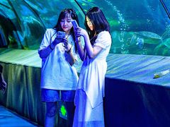 -太平洋海底世界