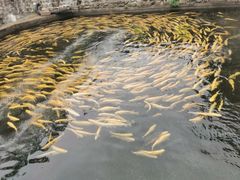 -天源渔港农庄