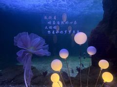 -常州海昌海洋探索馆