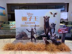 -万象影城(石家庄万象城IMAX激光店)