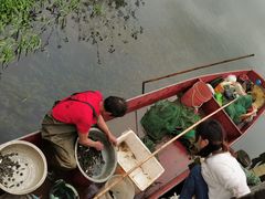 -会仙湿地