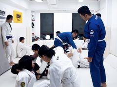 -菠萝格斗巴西柔术训练馆