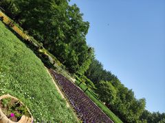 -秦皇岛野生动物园