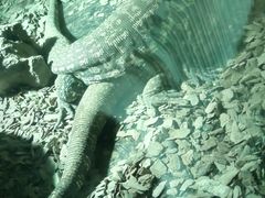 -海合安武汉极地海洋公园