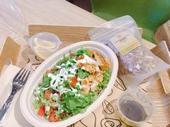 -油梨树AVOCADO TREE(嘉里中心店)