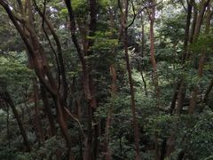 -广州市帽峰山景区