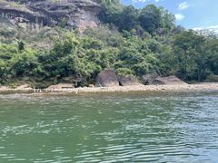 -九曲溪竹筏码头