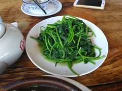 -鲤鱼塘农家山庄