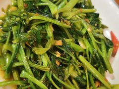 泰式空心菜-荷花泰菜(东方新天地店)