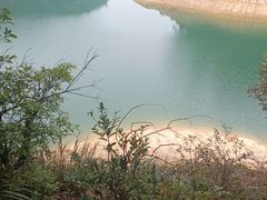 -广州市流溪河国家森林公园