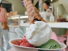 -Mint Gelato(二厂店)