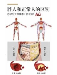 -Fundi张玉珊修身堂·indiba·BTL科技瘦身