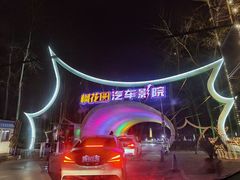 -枫花园汽车电影院(朝阳公园店)
