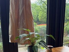 -粘芭喃腊云南的菜