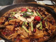 -老板恋上鱼(振华商厦店)