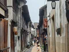 -乌镇东栅景区