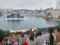 -秦皇岛乐岛海洋王国