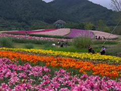 -径山花海