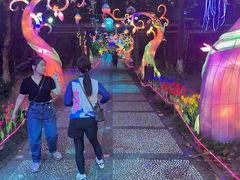 -广西壮族自治区药用植物园