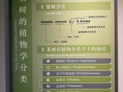 -中国茶叶博物馆(双峰馆区)