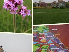 -湖北中医药大学(昙华林校区)