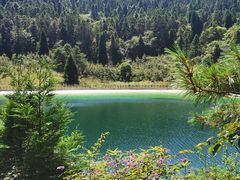 -武陵山森林公园