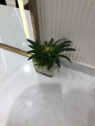 -梵创造型
