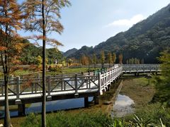 -广州市石门国家森林公园