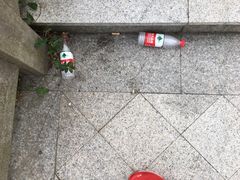 -洋山深水港