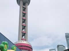 -上海大自然野生昆虫馆(东方明珠·爬宠昆虫探索中心)