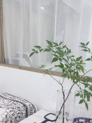 -Verywang半永久纹眉•仪器野生眉