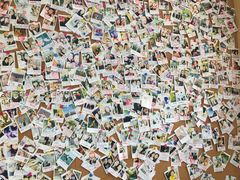 -熊猫邮局(少城店)