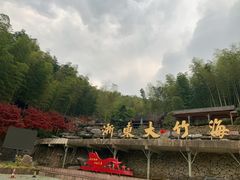-宁波浙东大竹海景区