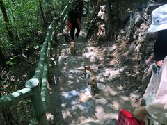 -孤山寨风景区