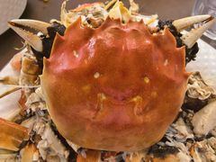 -蟹天蟹地农家菜·阳澄湖大闸蟹(浅水湾店)