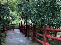 -羚羊峡古栈道森林公园
