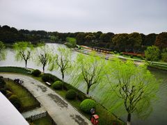 -上海鲜花港