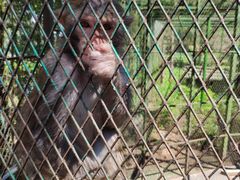 -藏龙百瀑风景区