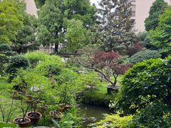 -上海醉白池公园