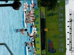 -黄金海岸水上乐园