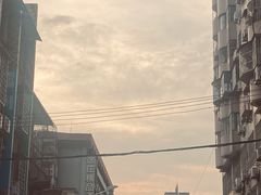 -溪岸路花鸟市场