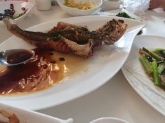 -锦江饭店锦北楼-锦江厅