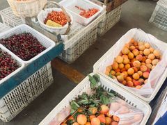 -重振华中蔬菜批发市场(重庆中路店)