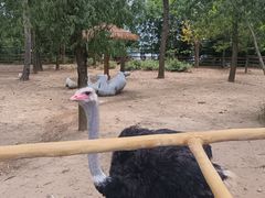 -大连森林动物园