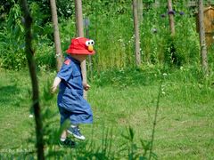 -前小桔亲子创意农场·草莓采摘·露营烧烤