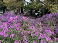 -国家植物园南园