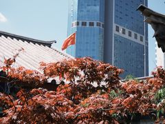 -真庆观
